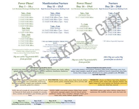 Fast Like A Girl by Chart, Fasting Chart for Women 28day Cycle, Fasting Lifestyle Chart, Dr ...