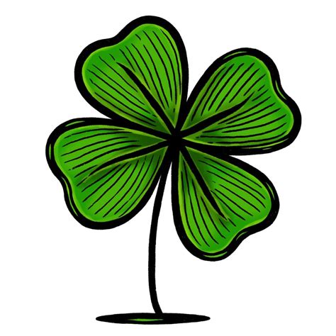 4 Leaf Clover Drawing {4 Easy Steps}! - The Graphics Fairy