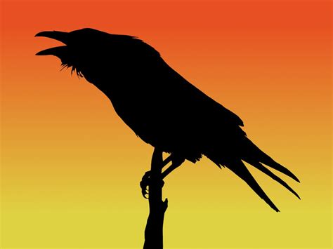 DIGITAL DOWNLOAD Common Raven Silhouette at Sunset