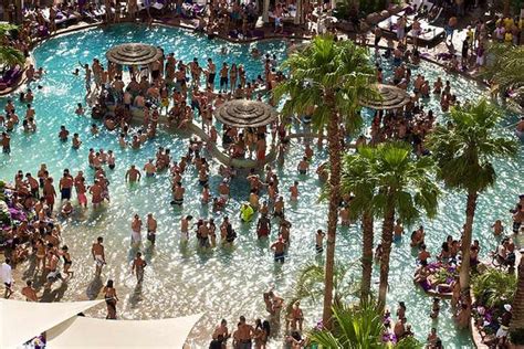 2life | A Guide To The Vegas Pool Party Scene | Vegas pool party, Vegas ...