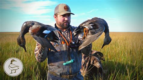 LOUISIANA Salt Marsh Duck Hunting - YouTube