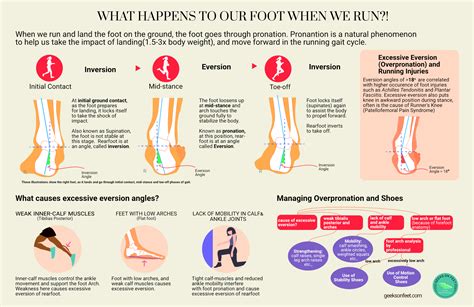 Inversion Of Foot Muscles