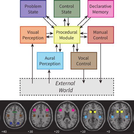 The cognitive architecture ACT-R and its mapping on brain... | Download Scientific Diagram