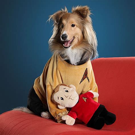 Star Trek Red Shirt Plush Dog Chew Toy Funny Toys, Dog Chew Toys, Dog Wallpaper, Geek Girls ...