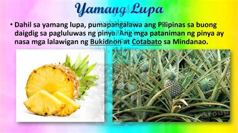 Mga Likas Na Yamang Lupa Sa Pilipinas | hayopinas