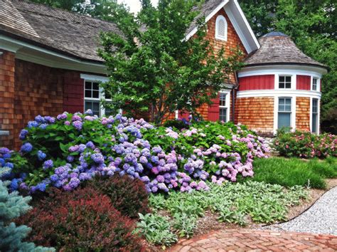 35 Hydrangea Garden Ideas (PICTURES)