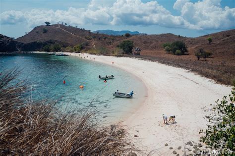 Pink Beach Flores adalah salah satu pantai terbaiknya Flores • catperku.com