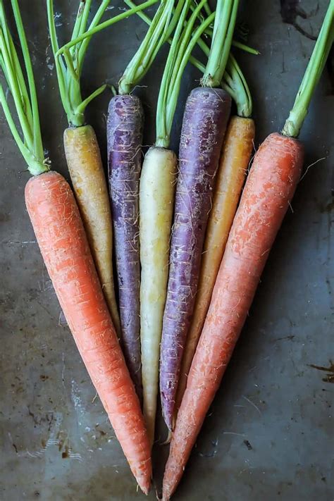 Roasted Rainbow Carrots [ with tahini ginger dipping sauce ] • Fit Mitten Kitchen