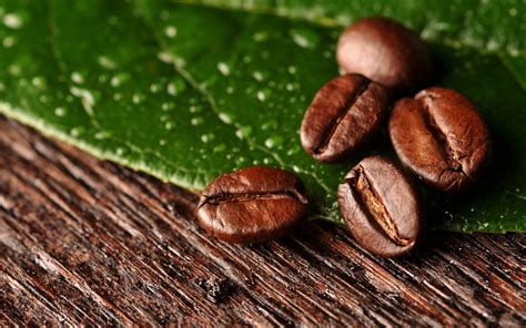 Wallpaper : coffee beans, surface, leaves 1920x1200 - wallup - 734426 ...