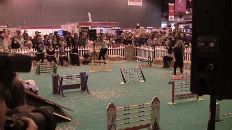 Rabbit Racing at London Pet Show - YouTube