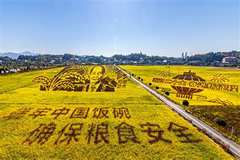 长沙稻田艺术——袁隆平 -HPA湖南摄影网