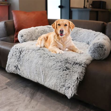 Best Couch Material For Dogs: Top Options For Pet Owners | Alpha Paw