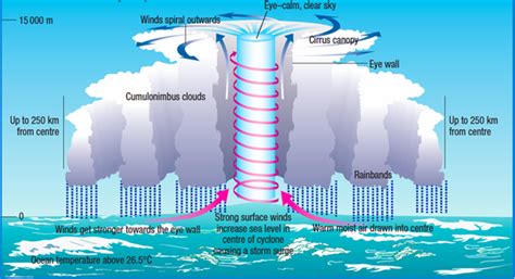 Cyclones, Hurricanes and Typhoons - Geography