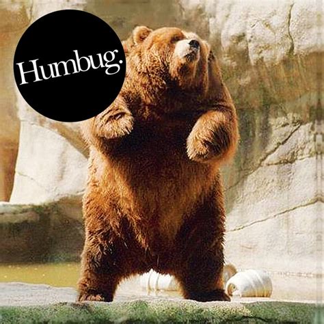 Humbug | Spotify