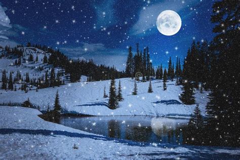 Night Scene with Evergreens Snow and Full Moon Stock Image - Image of evergreens, snowing: 251486327