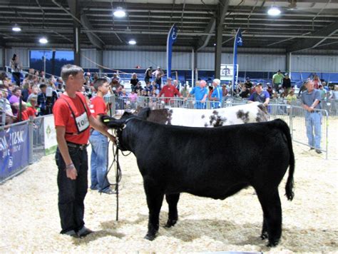 Livestock Extravaganza Highlights 100th State Fair | Farm Shows, County Fairs, Events and ...