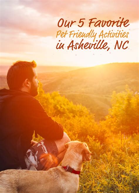 Five Pet Friendly Places to Visit in Asheville | Pet vacation, Asheville nc, Pet friendly vacations