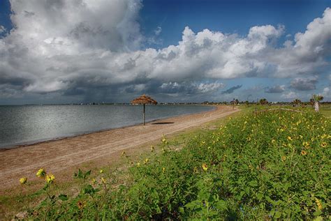 Rockport Beach Park provides an oasis for birds and humans