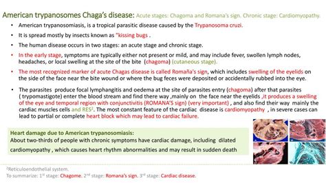 LECTURE: Trypanosomiases - ppt download