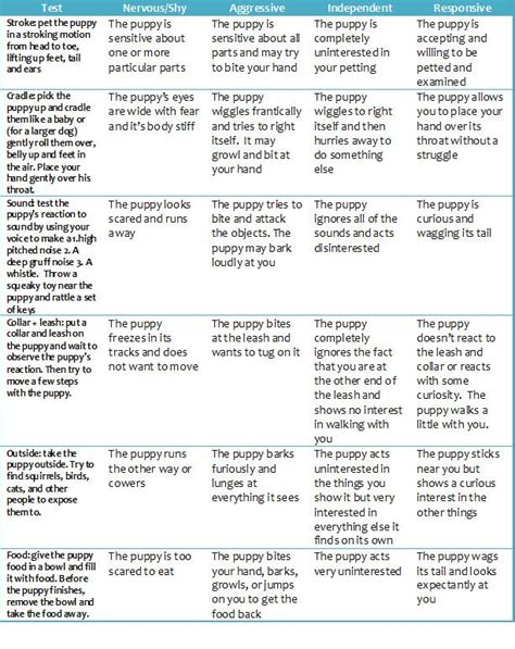 Puppy temperament tests when choosing from a litter | Dog training ...