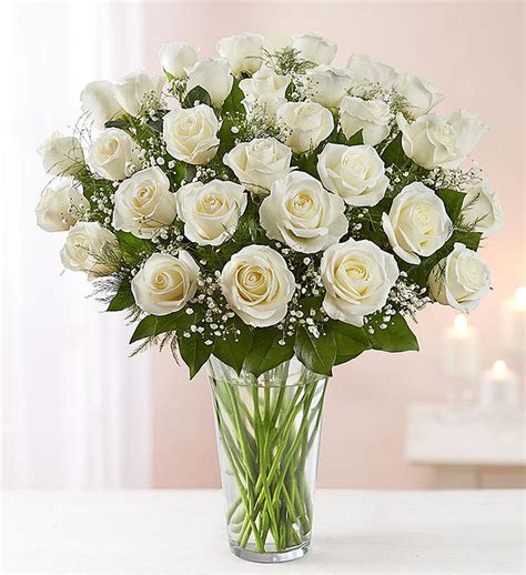 Brampton 3 Dozen White Rose Vase - Brampton Florist Brampton Florist