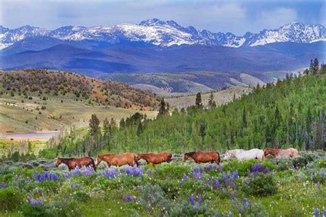 C Lazy U Ranch - Colorado Dude & Guest Ranch Association - Luxury Guest ...