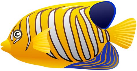 Yellow Fish PNG Clip Art - Best WEB Clipart