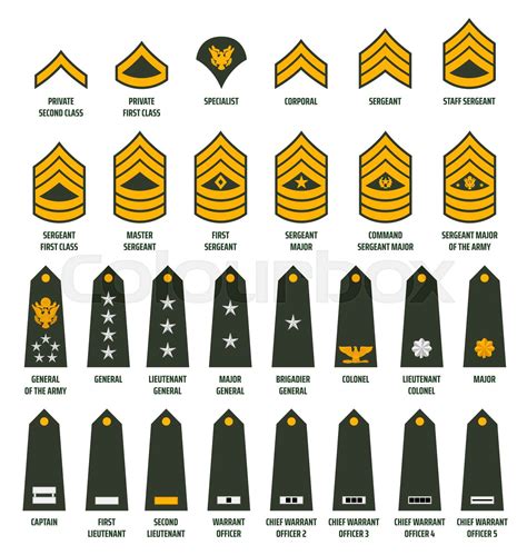 USA army enlisted ranks chevrons with insignia | Stock vector | Colourbox