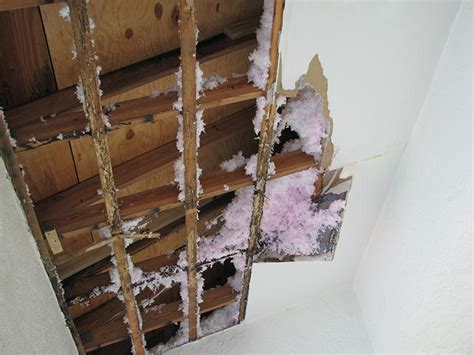 Termite Damage Signs - What Does They Look Like? (Pictures) | PestsGuide