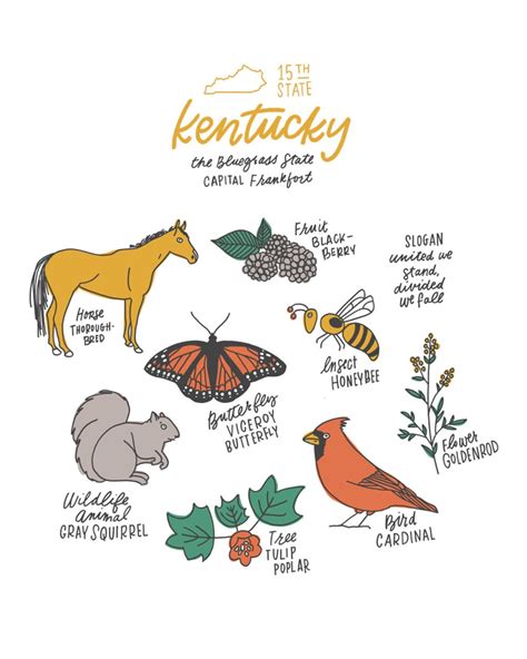 Kentucky State Symbols Illustration Print - Etsy