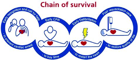 Chain of survival. Reprinted from: The chain of survival. Nolan J.... | Download Scientific Diagram