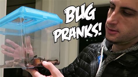 NO MORE BUG PRANKS!! - YouTube