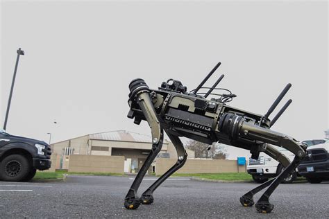 Robot dog reports for duty > Air Force > Article Display