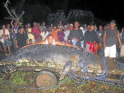 21 feet crocodile captured in eastern Mindanao News from the Philippines