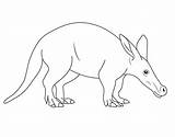 Smiling Aardvark Coloring Page  Free Printable Pages For Kids sketch template