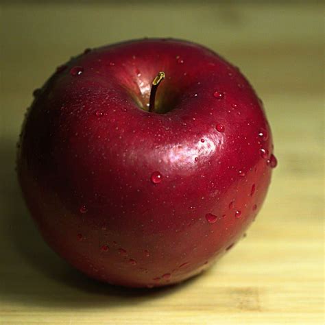 Rome apple 🌿 🍎 A top baking variety with bountiful harvests!