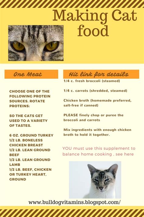 √ Healthy Homemade Cat Food Recipes