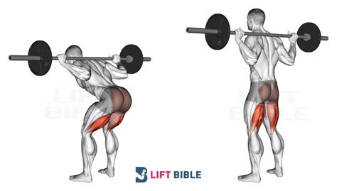 How to Perform Barbell Good Mornings with Perfect Form