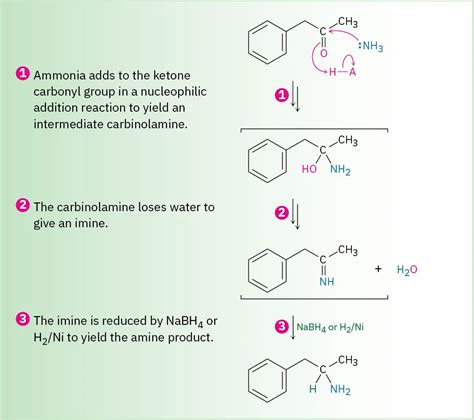 24.7: Synthesis of Amines - Chemistry LibreTexts