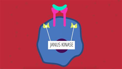 JAK Inhibitors: How This New Rheumatoid Arthritis Treatment Works