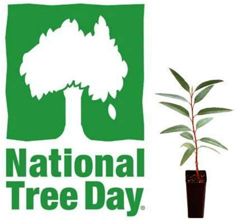 National Tree Planting Day 2024 - Fredia Susanne