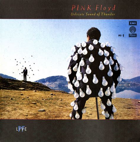 photos of pink floyd vinyl - Google Search Album Pink Floyd, Art Pink ...
