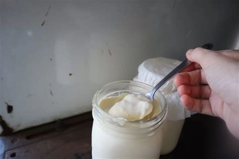 How to make homemade sour cream - Cheese From Scratch