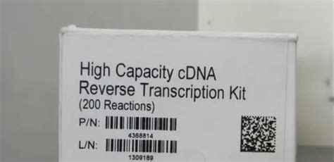 High-capacity Cdna Reverse Transcription Kit 200 Reactions Applied Bio Systems 4368814 at Rs ...