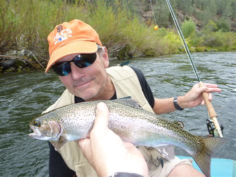 california steelhead fishing | mtshasta.com - jack trout's weblog