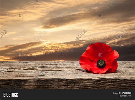 Poppy Pin Remembrance Image & Photo (Free Trial) | Bigstock