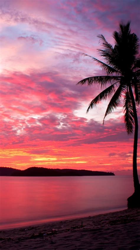 Beach Pink Sunset, matahari terbenam pantai yang estetis wallpaper ponsel HD | Pxfuel