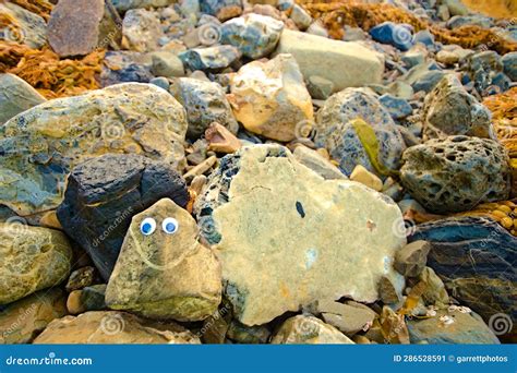 A Smiling Rock with Googly Eyes Sits on a Rocky Sea Shore Stock Image - Image of outdoor, rocks ...