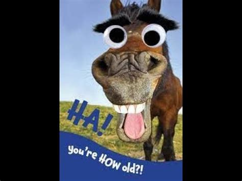 goofy ahh horse laugh - YouTube