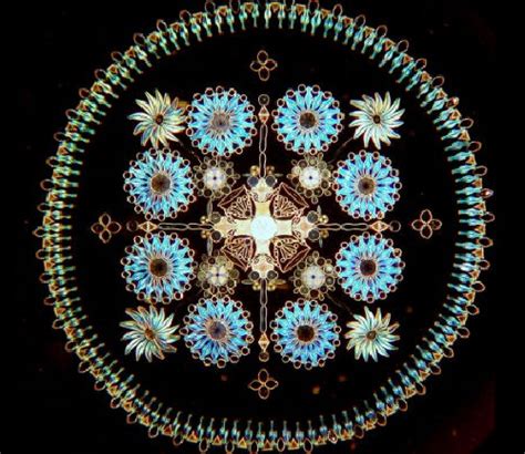 Rare art of diatom arrangement by Klaus Kemp - Art Kaleidoscope